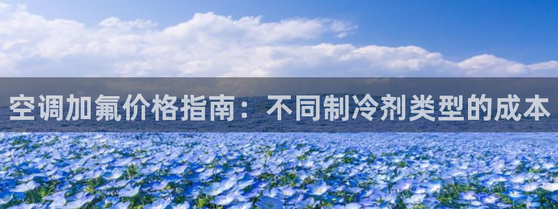 环球360手机版