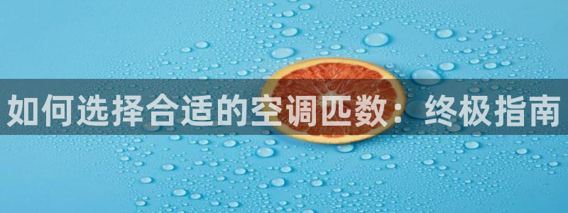 环球360菲律宾管理网
