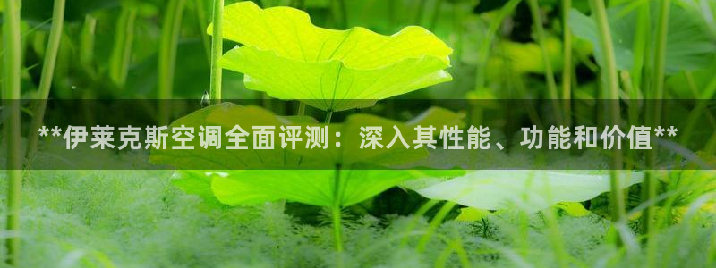 环球360能不能作假