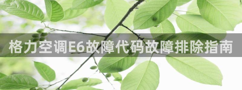 环球360手机版打开入口