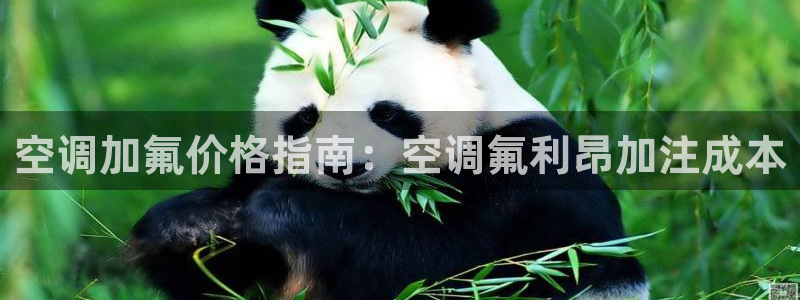 环球360片尾