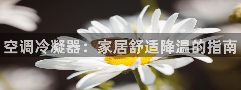 环球360飞机视频下载