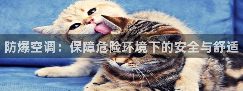环球360官网会员注册不了怎么办