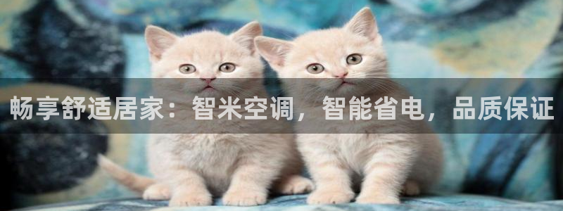 环球360管理系统入口在哪