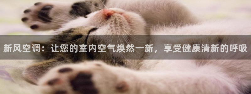 环球360官网最新网站