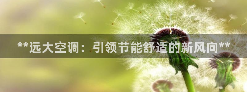 环球360app下载