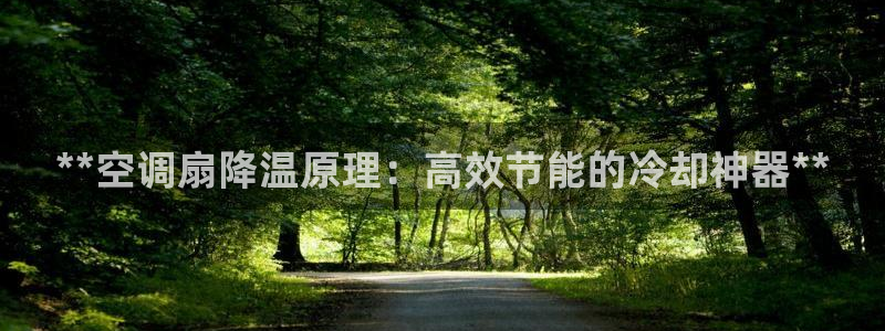 环球360会员登录注册
