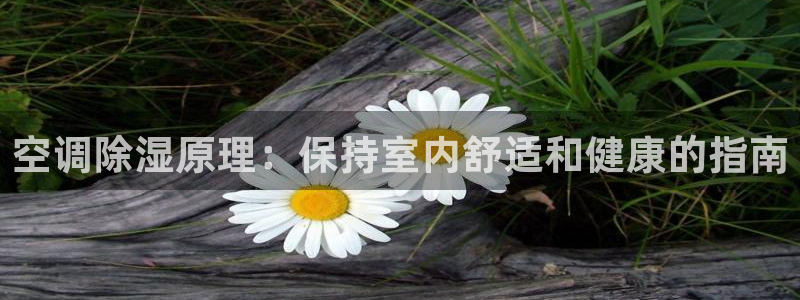 环球360登录注册