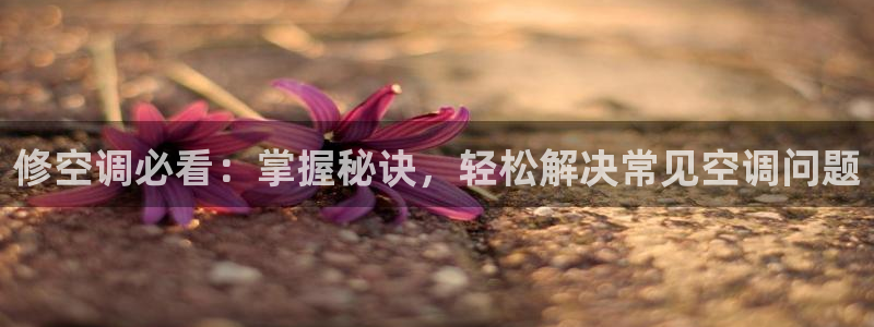 环球360会员登录官网入口