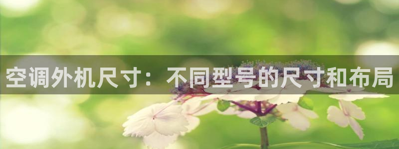 环球360客服