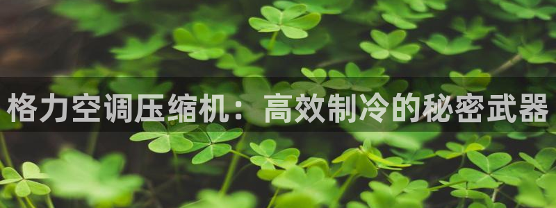 环球360官网会员注册账号