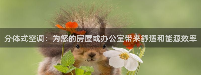环球360官网手机版网址