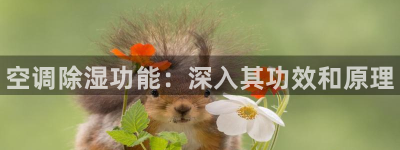 菲律宾环球360平台