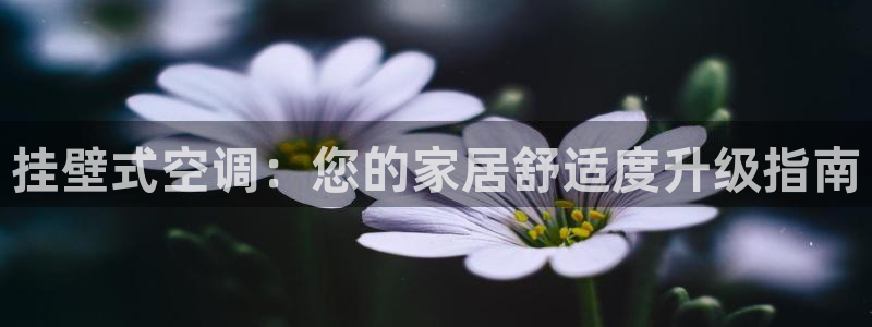 环球360登录入口