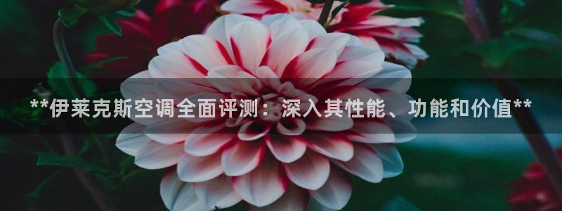 菲律宾环球360假