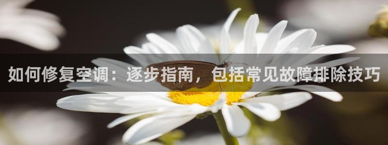 菲律宾环球360平台有假吗