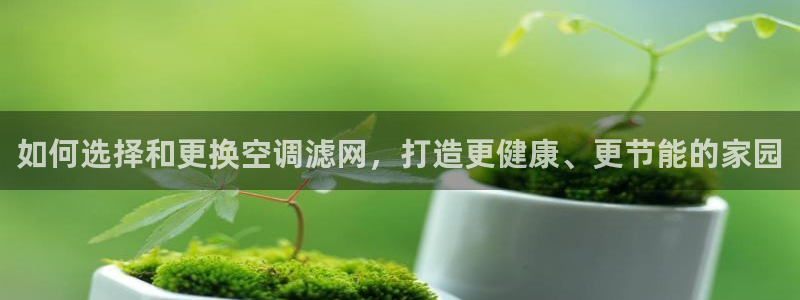环球360网址加盟
