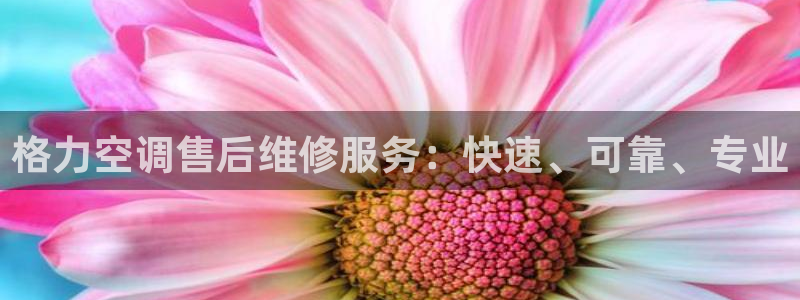 UG环球360官方网站