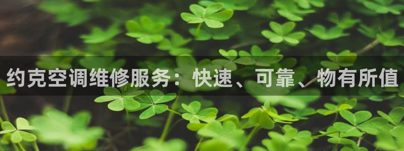 环球360代理
