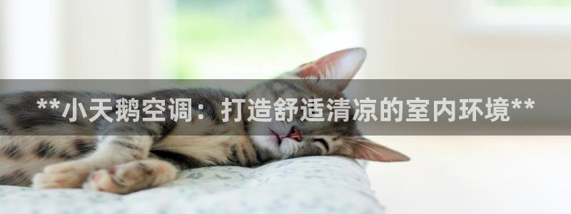 环球360会员登录不了