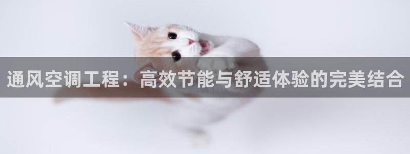 环球360正网包杀